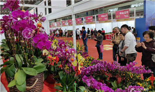 靠花卉引客，也靠“花外留客”