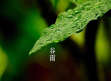 《谷雨》過了清明，就是谷雨。村莊里，田野里，村路上，草木間，人家的院落里，人們的臉上，到處都是春天的閑意思了。[詳細]