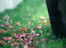 《雨水》轉眼就過了正月十五。芳村這地方，過了十五，才算是過了年。老輩子的風俗，十五看燈，十六游百病。[詳細]