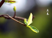《立春》大年三十這一天，天難得放晴了。村子里到處明晃晃的，陽光映照著雪地，仿佛琉璃世界。[詳細]
