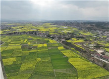 《家山》：生生不息的民族史詩　　在我的觀察當(dāng)中，很多傳統(tǒng)的鄉(xiāng)村社會的東西，現(xiàn)在還是保留著，傳統(tǒng)文化也保存得比較好……[詳細(xì)]