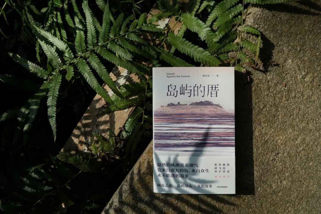 “厝”在閩南語中意為“房子”  龔萬瑩/著  大方丨中信出版集團(tuán)