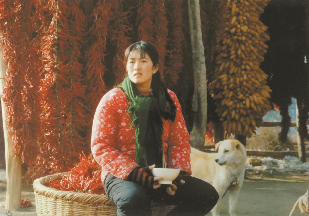 劉恒擔(dān)任編劇的電影《秋菊打官司》曾獲得第49屆威尼斯電影節(jié)金獅獎(jiǎng)、第13屆中國(guó)電影金雞獎(jiǎng)最佳故事片獎(jiǎng)等獎(jiǎng)項(xiàng)。