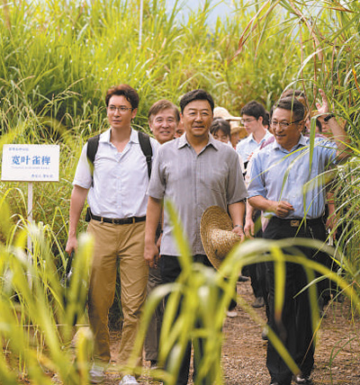 　　圖為電視劇《幸福草》劇照。 　　片方供圖