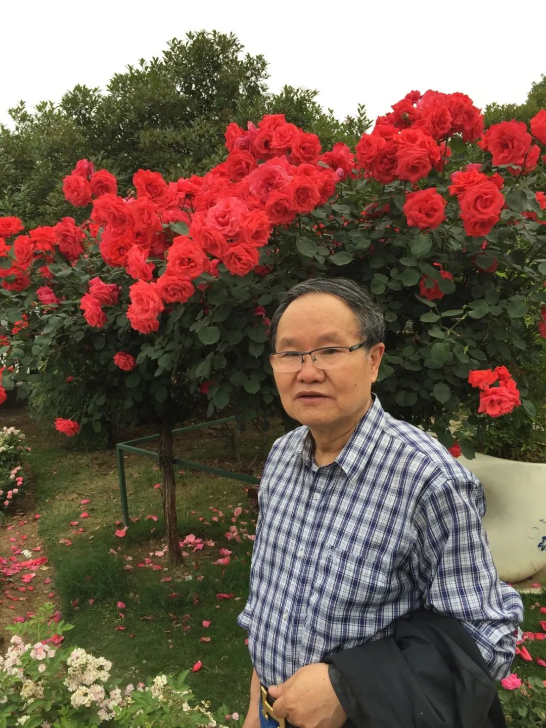 【劉慶邦，1951年生于河南沈丘。著有長篇小說《斷層》《遠方詩意》《平原上的歌謠》《紅煤》《遍地月光》《黑白男女》《女工繪》《花燈調(diào)》等十四部，中短篇小說集、散文集《走窯漢》《梅妞放羊》《遍地白花》《響器》《黃花繡》《到處有道》等七十余部。《劉慶邦短篇小說編年》十二卷。短篇小說《鞋》獲第二屆魯迅文學獎。中篇小說《神木》《啞炮》獲第二屆和第四屆老舍文學獎。中篇小說《到城里去》和長篇小說《紅煤》分別獲第四屆、第五屆北京市文學藝術(shù)獎。長篇小說《遍地月光》獲第八屆茅盾文學獎提名。長篇小說《黑白男女》獲首屆吳承恩長篇小說獎。長篇小說《家長》獲第二屆南丁文學獎。長篇散文《陪護母親日記》獲第二屆孫犁散文獎。曾獲北京市首屆德藝雙馨獎，首屆林斤瀾杰出短篇小說作家獎，第十屆冰心散文獎。獲《北京文學》獎十五次；《十月》文學獎七次；《小說月報》百花獎八次等。根據(jù)其小說《神木》改編的電影《盲井》獲第53屆柏林電影藝術(shù)節(jié)銀熊獎。1990年加入中國作家協(xié)會，為中國煤礦作家協(xié)會名譽主席，北京作家協(xié)會原副主席，一級作家，北京市第十、第十一、第十二屆政協(xié)委員，中國作家協(xié)會第五、第六、第七、第八、第九屆全國委員會委員?！?></p>
<p style=