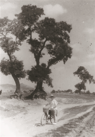 http://epaper.ynet.com/images/2025-08/18/A12/12bt1_b.jpg