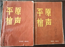 從未遠去的“平原槍聲”　　合上《平原槍聲》最后一頁，初聽現(xiàn)實中肖張鎮(zhèn)這個地名，心頭不禁一震：莫不是小說中的肖家鎮(zhèn)？[詳細]