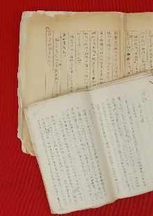 一份日記，如同顯微鏡下的“抗戰(zhàn)長城”　　1939年，作家戰(zhàn)地訪問團北上前線途中，盡管危險重重，又緊張又勞累，王禮錫仍然想盡辦法詳細記錄下訪問團的活動和他自己的生活，或許他未曾想過這些文字會穿越戰(zhàn)火，歷經(jīng)風風雨雨八十余載，成為一把打開抗戰(zhàn)歷史的特殊密鑰。[詳細]