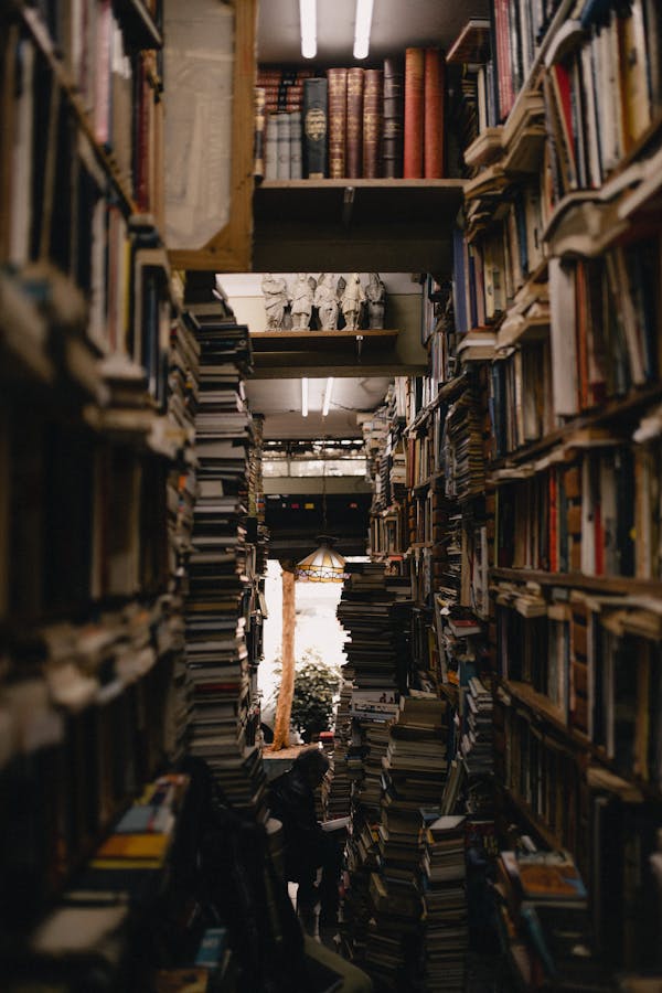 C:\Users\wz-czy\Desktop\pexels-photo-2553427.jpg