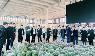 采風團一行在長勝鎮(zhèn)鄉(xiāng)村振興示范區(qū)參觀