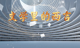 【視頻】文學里的西吉