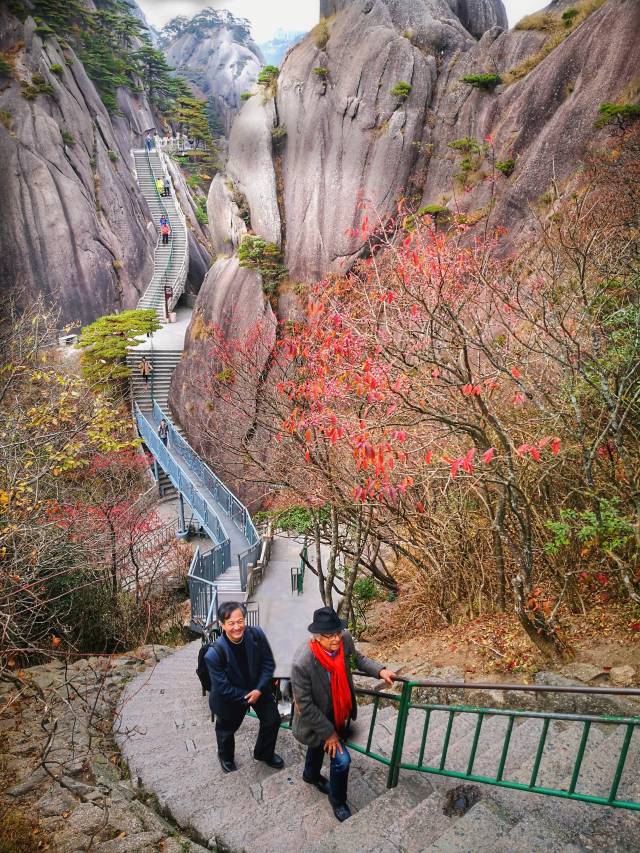 薛慶國(guó)陪同阿多尼斯登上黃山。